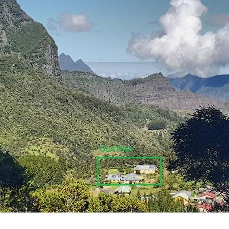 Olatika - Le Retour Aux Sources Hotell Cilaos Eksteriør bilde