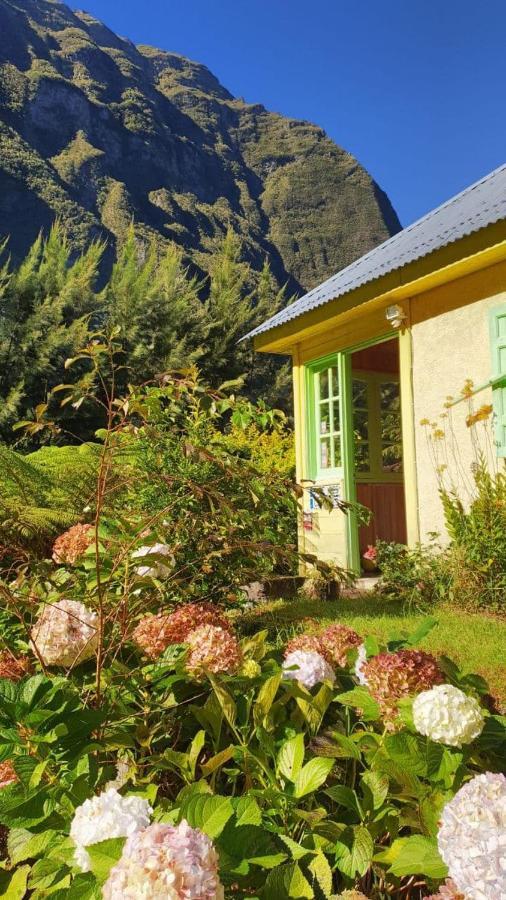 Olatika - Le Retour Aux Sources Hotell Cilaos Eksteriør bilde